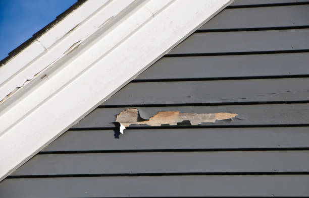 How To Choose The Right Materials for Your Siding Installation in 'La Grange, NC